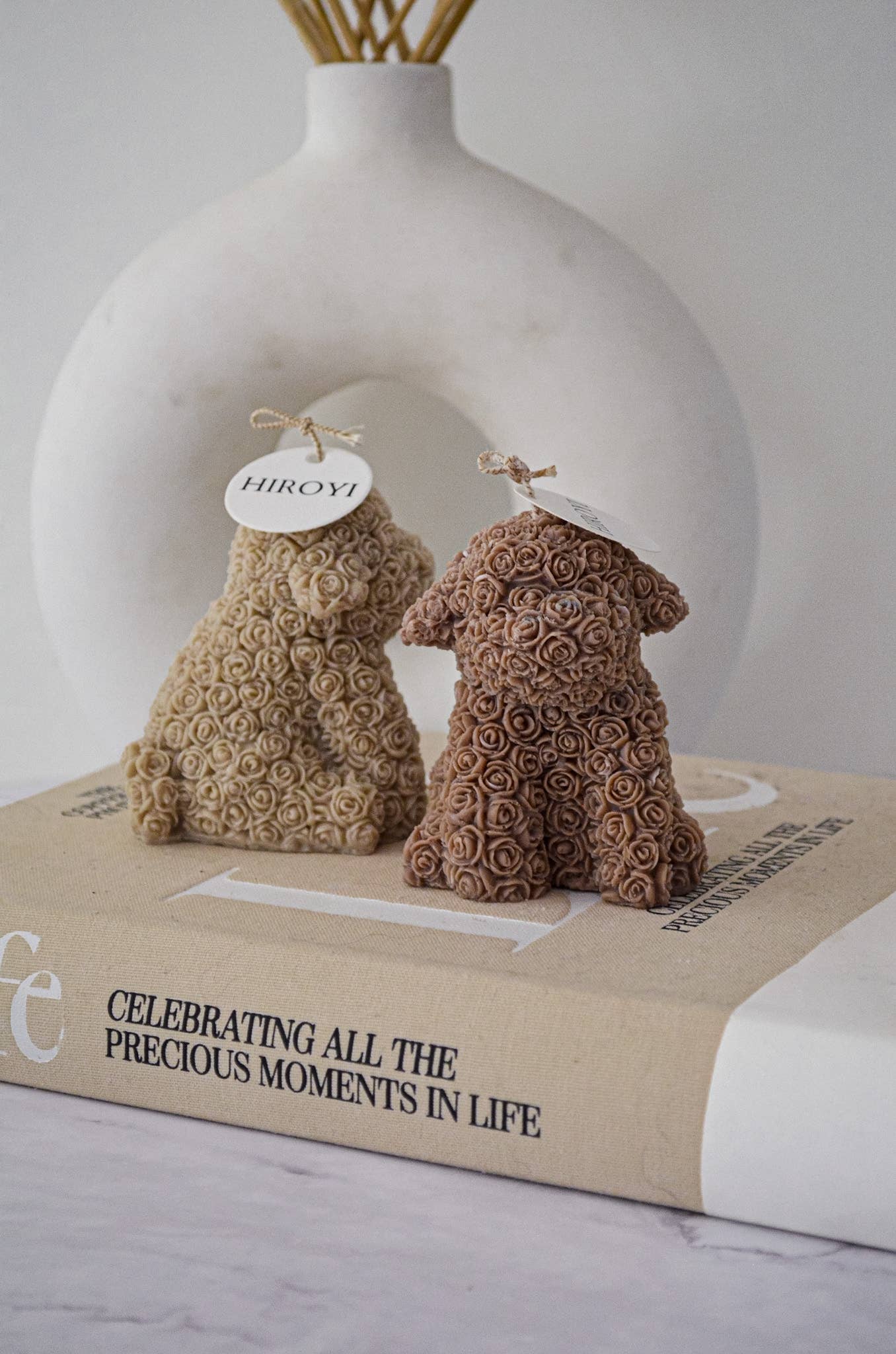 Candela Rose Poodle Puppy: Marrone nocciola