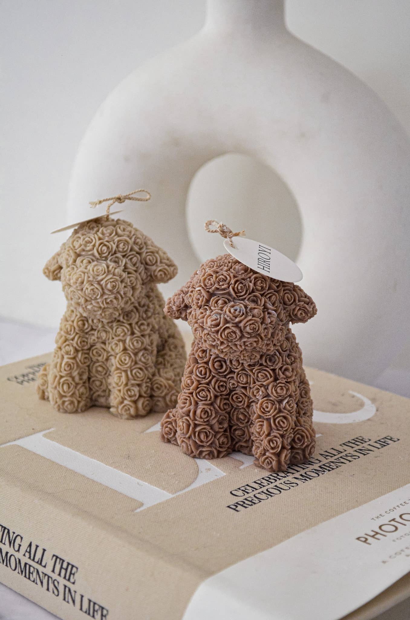 Candela Rose Poodle Puppy: Marrone nocciola