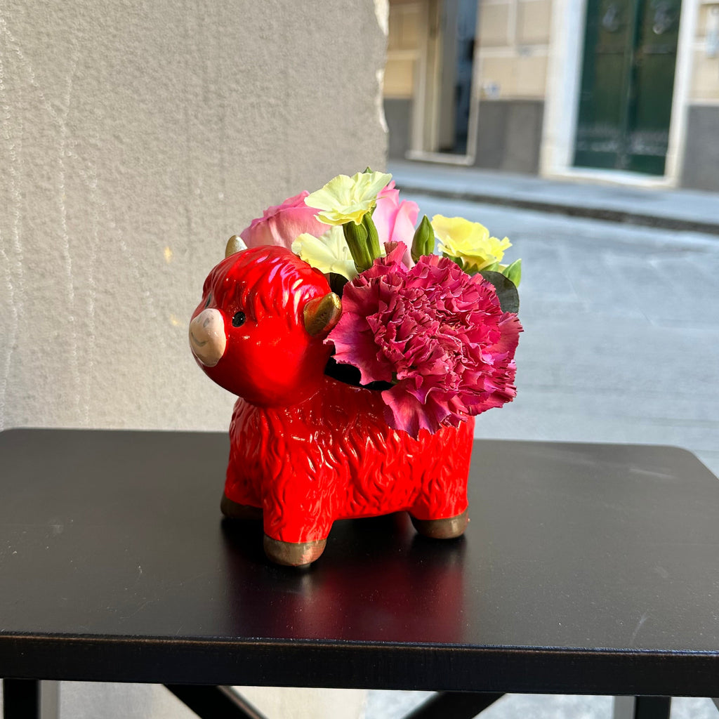 Gesto insolito