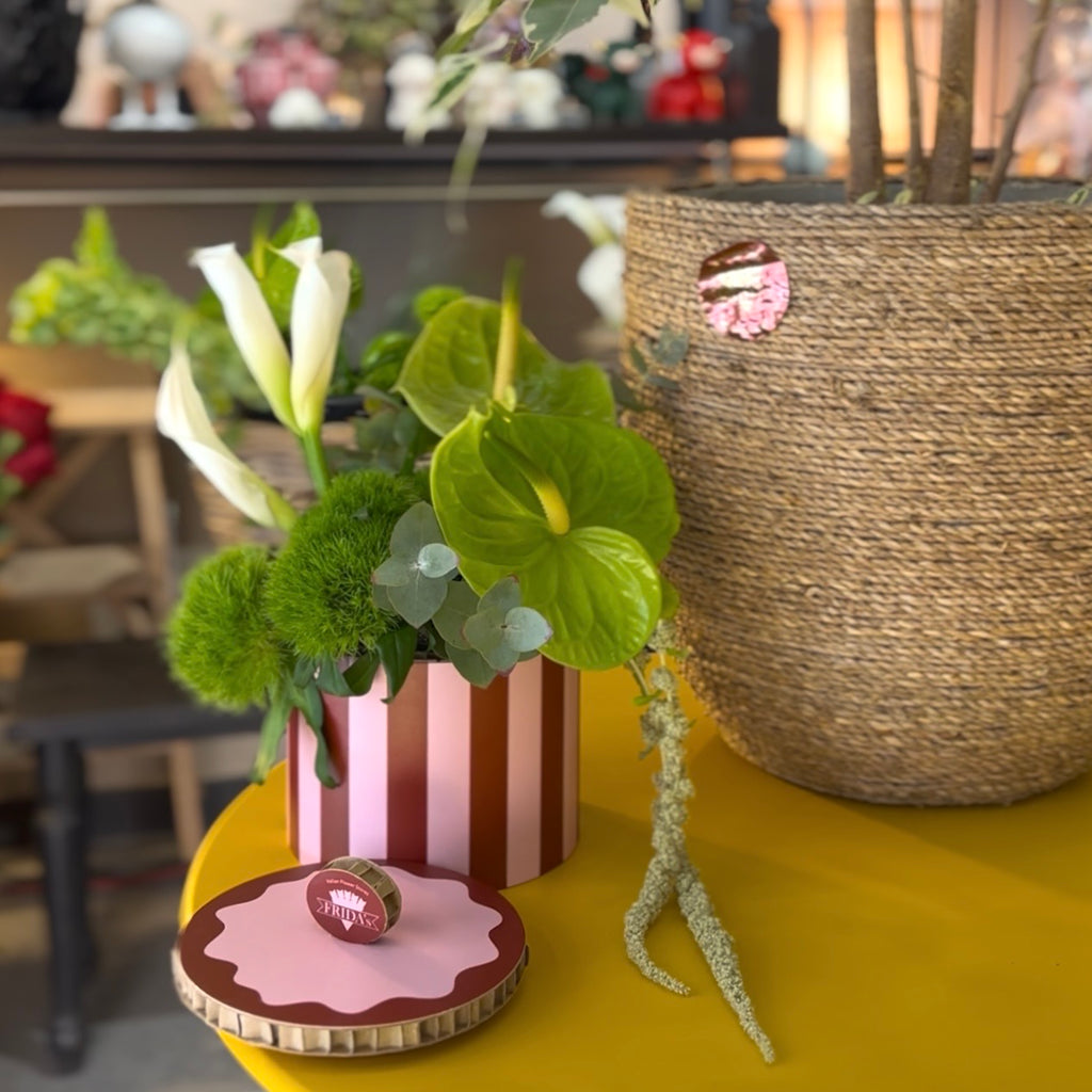 Cappelliera Stripe Green