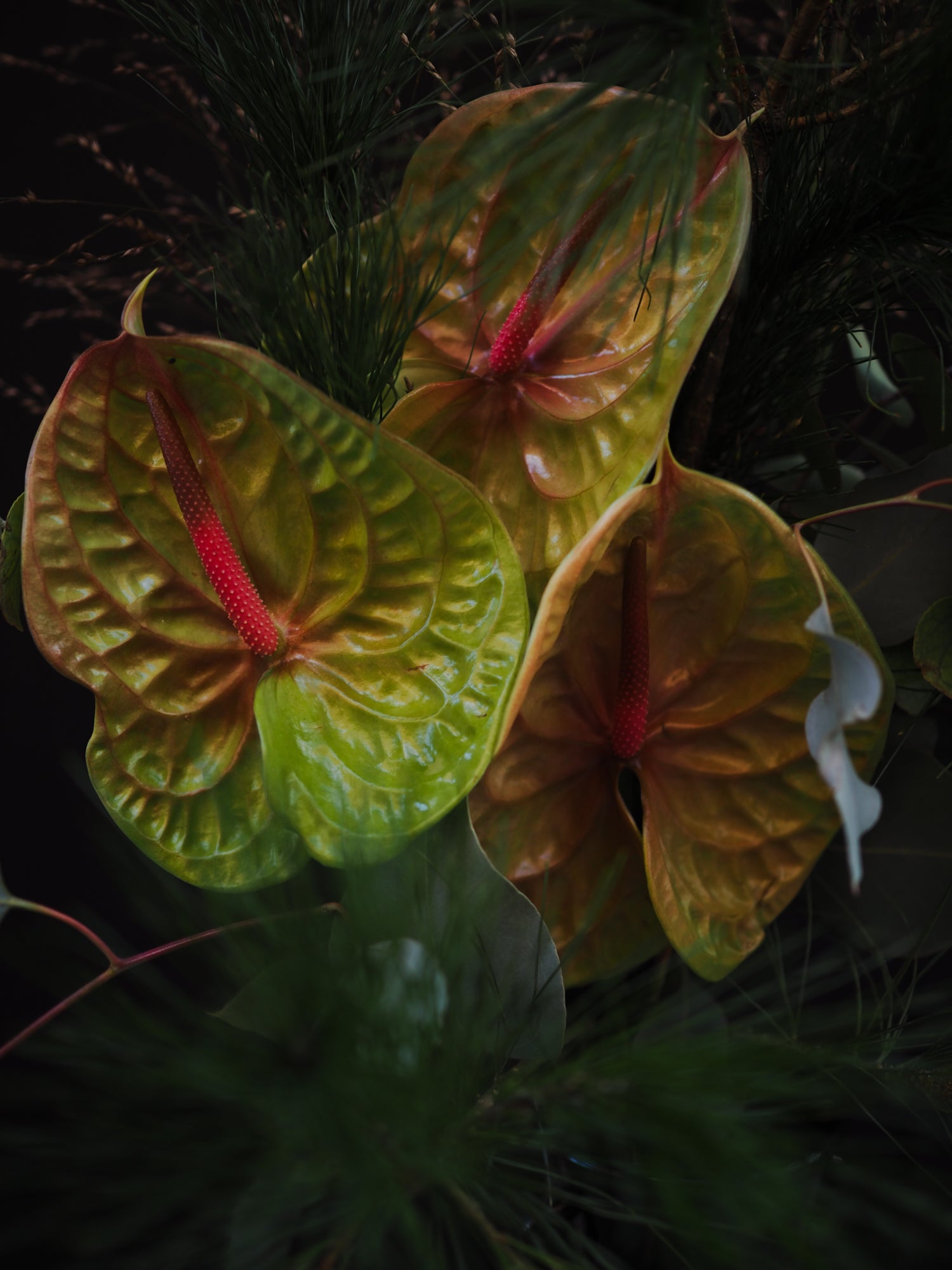 Bouquet Green Christmas