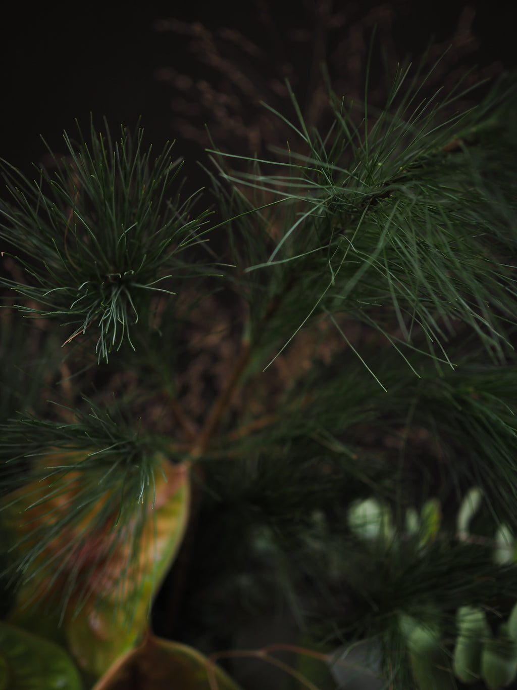 Bouquet Green Christmas